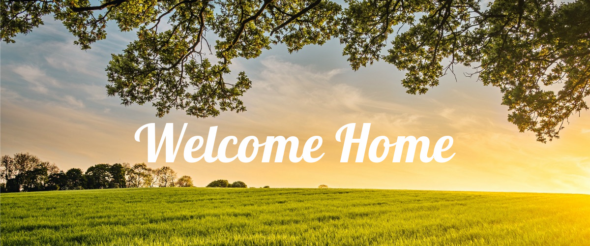 Green Meadow with sunshine Welcome Home